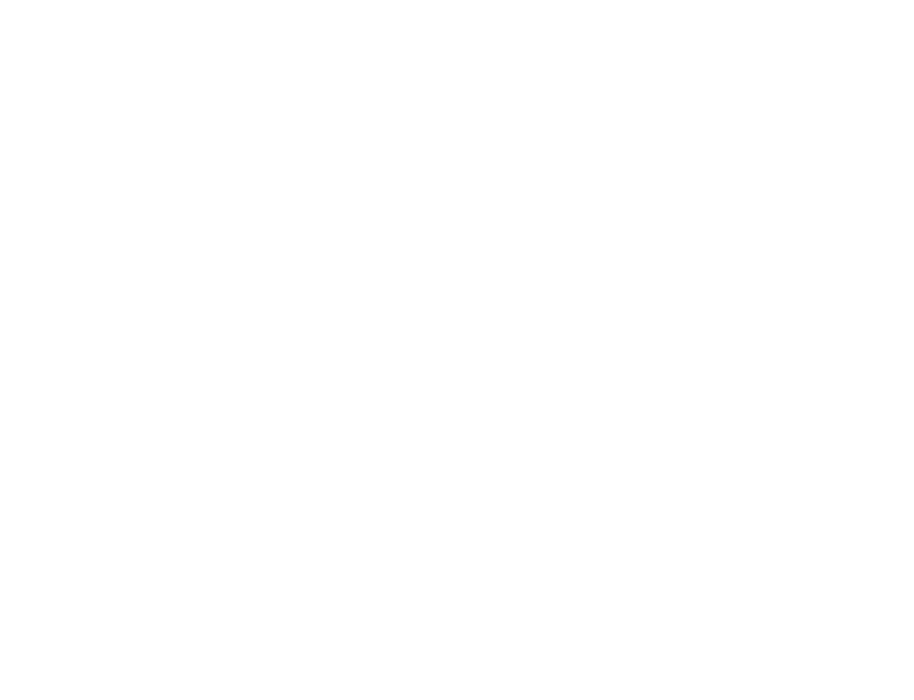 pandit automobile logo