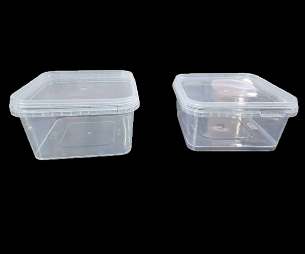 Ice-cream Containers